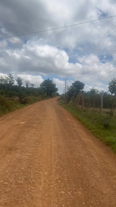 Đất nền 1.296m² Đường 22 Bảo Lộc 3.7 tỷ - Tiềm năng tăng giá