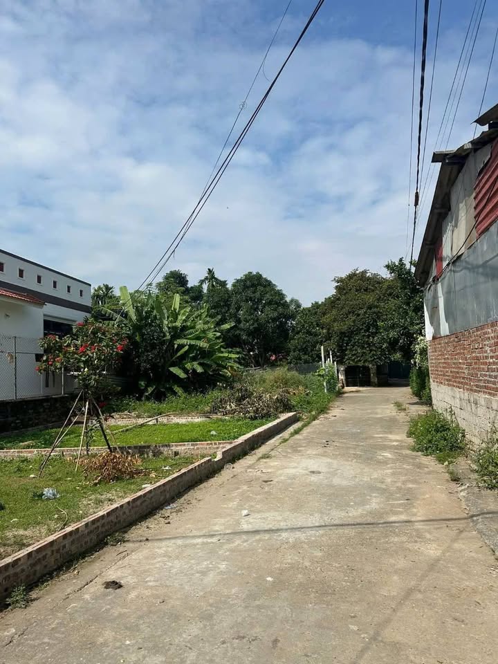 Đất Sen Phương Phúc Thọ 40m² 1 tỷ - Sổ hồng chính chủ