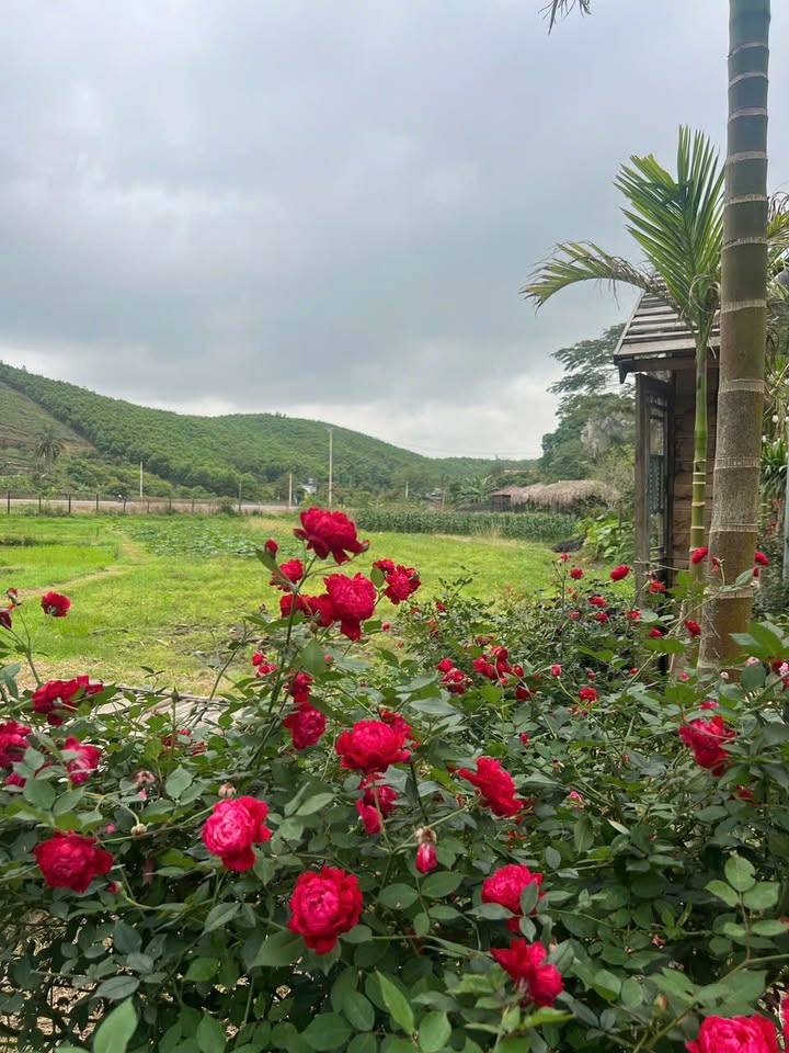 Đất nền Hoành Bồ 259m² giá 2.2 tỷ - Đường to ô tô