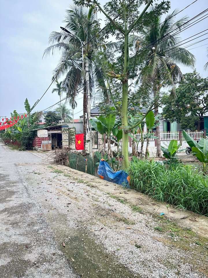 Đất Nông Cống Tân Phúc 300m² 1.4 tỷ - Sổ đỏ chính chủ