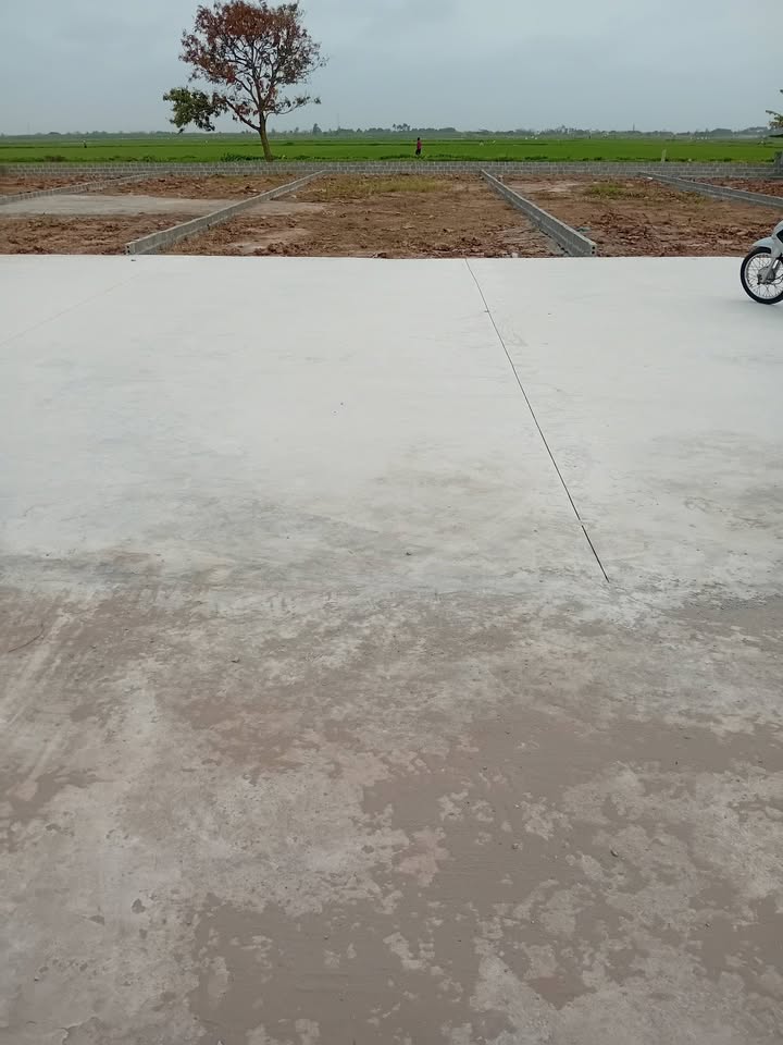 Đất Nam Chính Tiền Hải 155m² 700-799 triệu - Đường ôtô