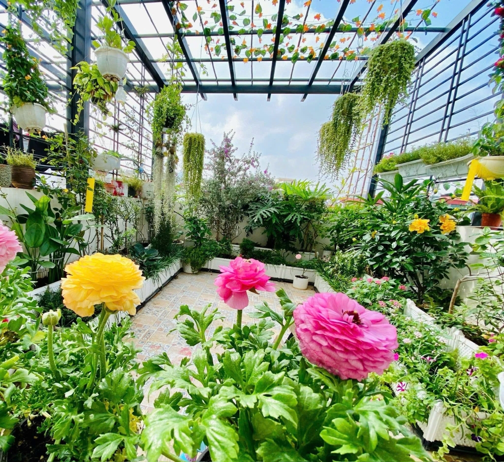 Nhà riêng Liễu Giai 43m² giá 13.9 tỷ - Chính chủ bán