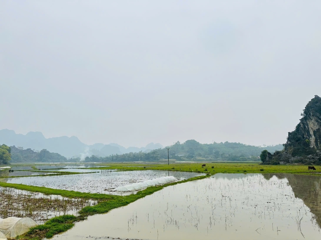 Nhà riêng Cao Dương Lương Sơn 981m² 3.92 tỷ - Sẵn sàng ở ngay