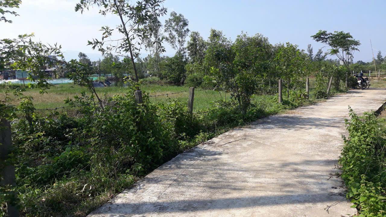 Đất nền Tam Giang Núi Thành 150m² giá 6 triệu - Xây dựng tự do!