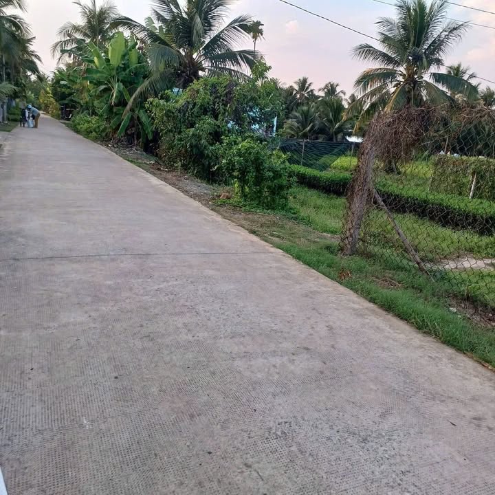 Đất Thạnh Ngãi Mỏ Cày Bắc 1000m² 1,05 tỷ - Tiềm năng tăng giá