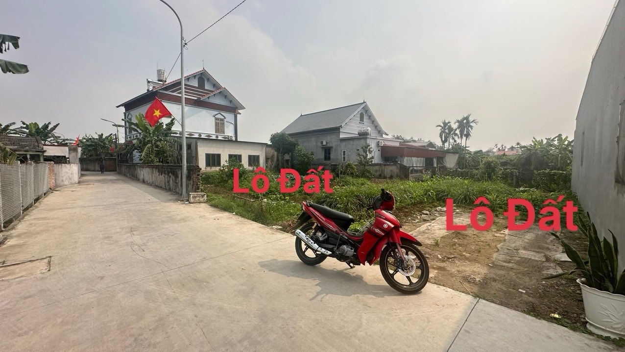 Đất nền An Lão Hải Phòng 85m² giá 1 tỷ - Hạ tầng hoàn thiện