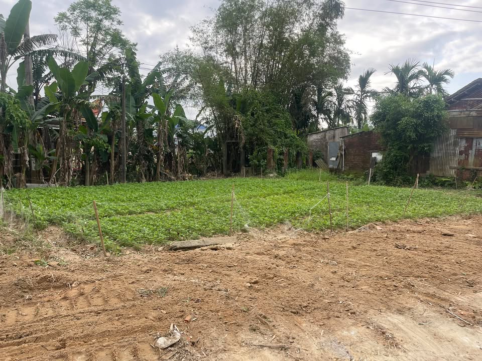 Đất nền Đường DH Hội An 222m² - Sổ đỏ rõ ràng