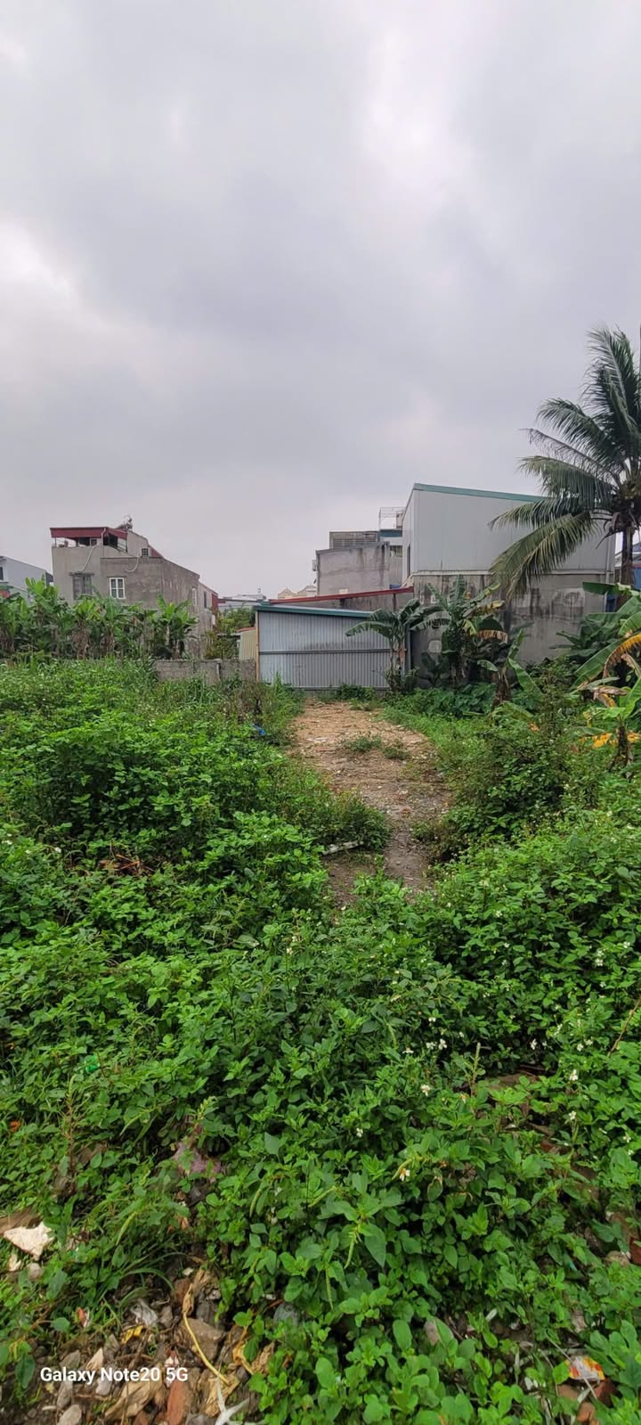 Đất nền Đồng Hòa Kiến An 63m² 2.05 tỷ - Tiềm năng tăng giá