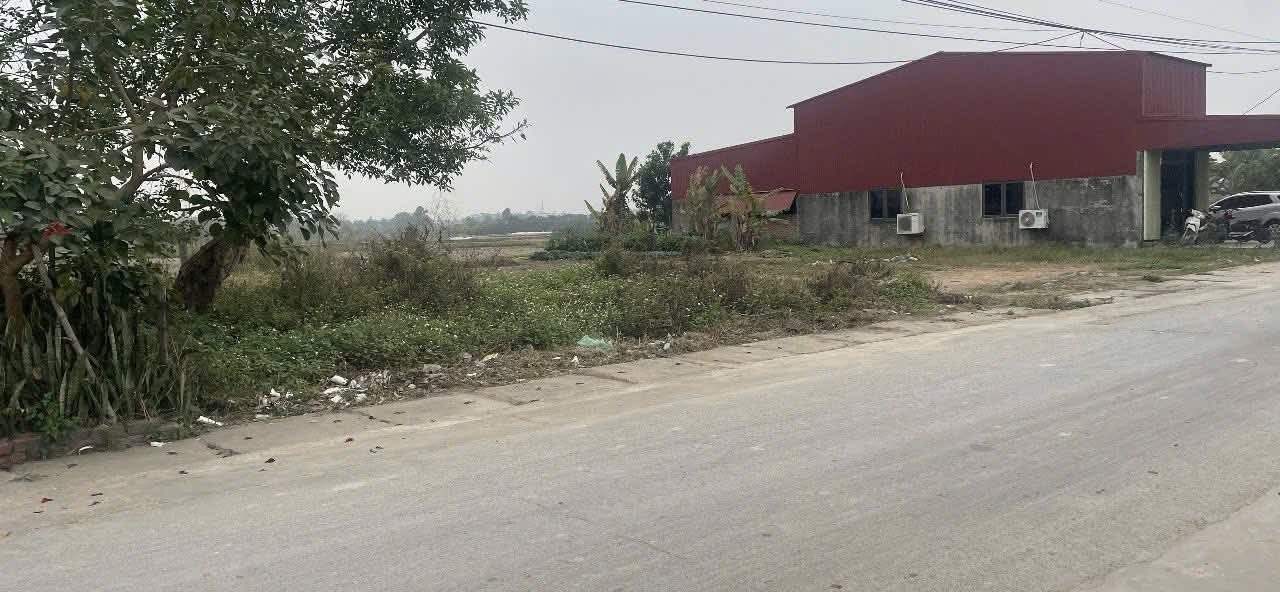 Đất nền Tự Lạn, Việt Yên 110m² giá 2,3 tỷ - Sổ đỏ chính chủ