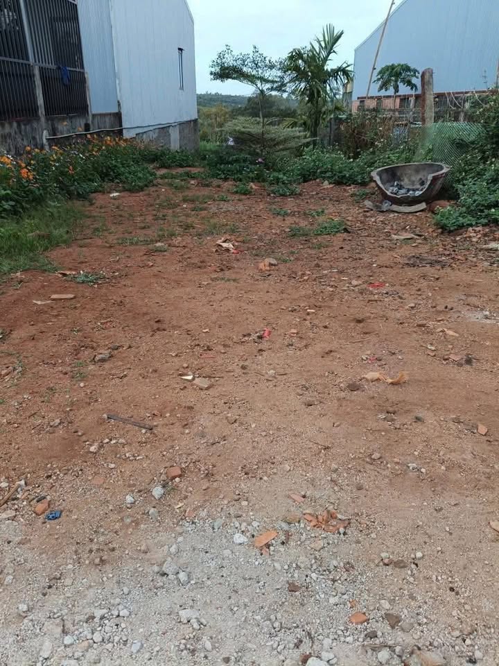 Đất thổ cư Ea Ral 200m² giá 5xx triệu – Sổ đỏ chính chủ