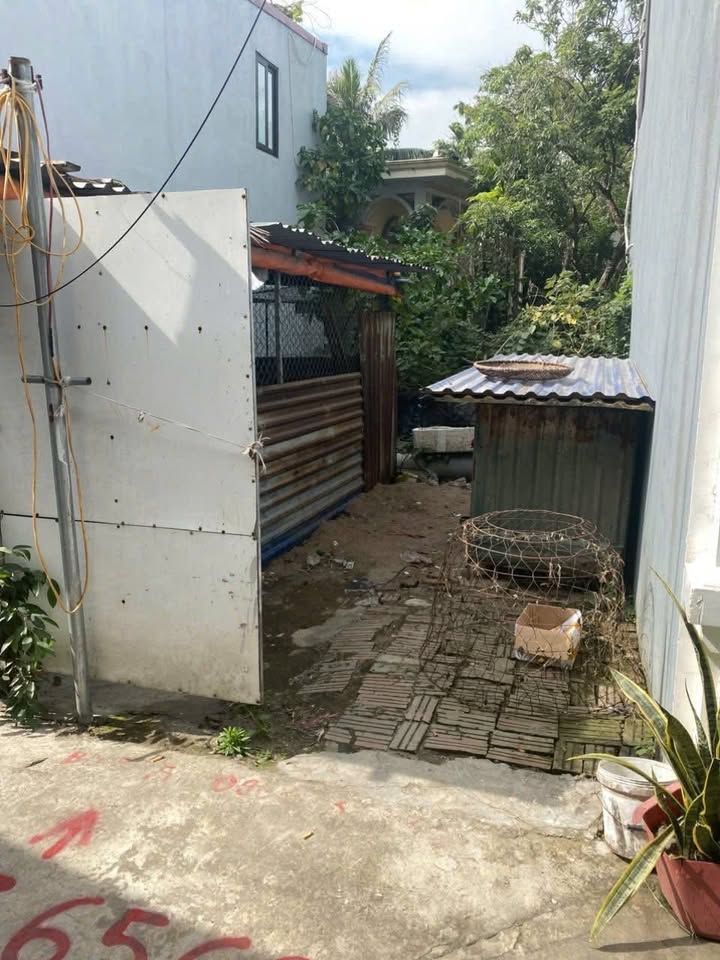 Đất Bạch Mai An Dương 53.5m² giá 1.45 tỷ - Sổ đỏ chính chủ