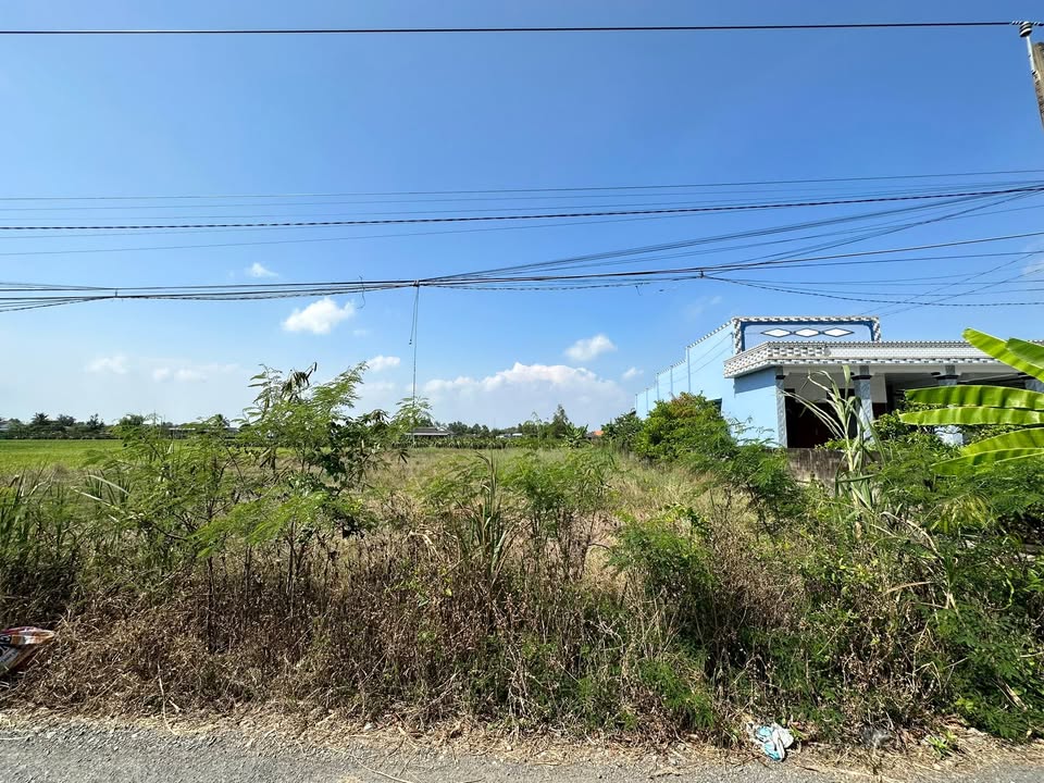 Đất nền Bình Phú 1.380m² 1,65 tỷ - Đường to ô tô