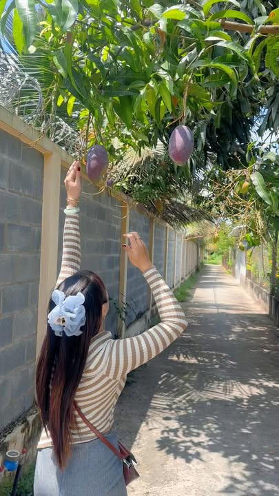 Đất nền Mỹ Tho 82m² 470 triệu - Sổ đỏ chính chủ