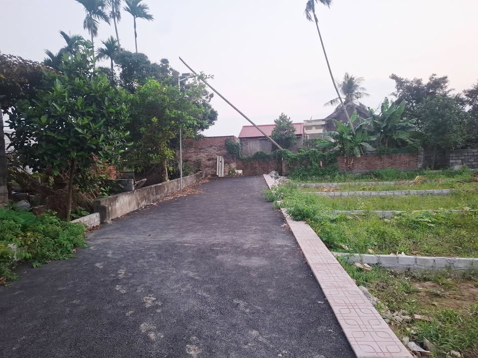 Townhouse An Lão 76m² 750 triệu - Đầu tư sinh lời