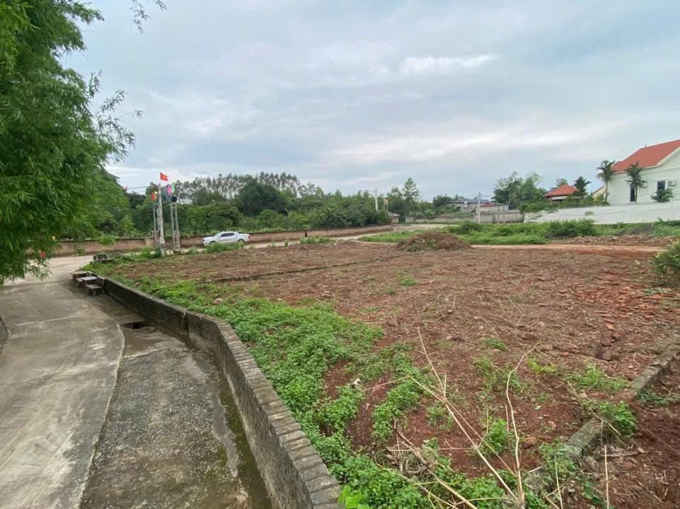 Đất nền Tân Hưng Lạng Giang 330m² 1.8 tỷ - Sổ đỏ