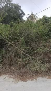 Đất nền Cam Phúc Bắc 621m² giá 3 tỷ - Đất thổ cư 100%