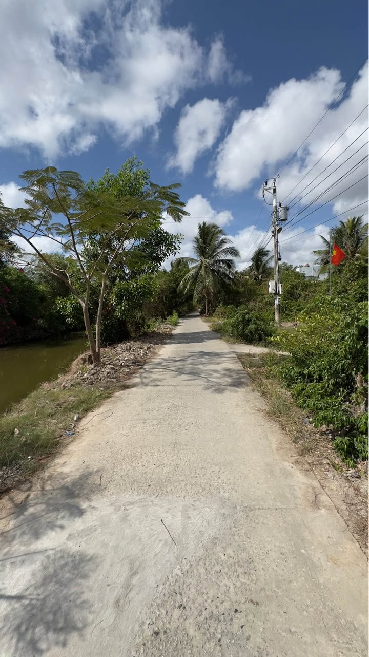 Đất Lý Văn Lâm Cà Mau 734m² 850tr - Thổ cư sổ đỏ