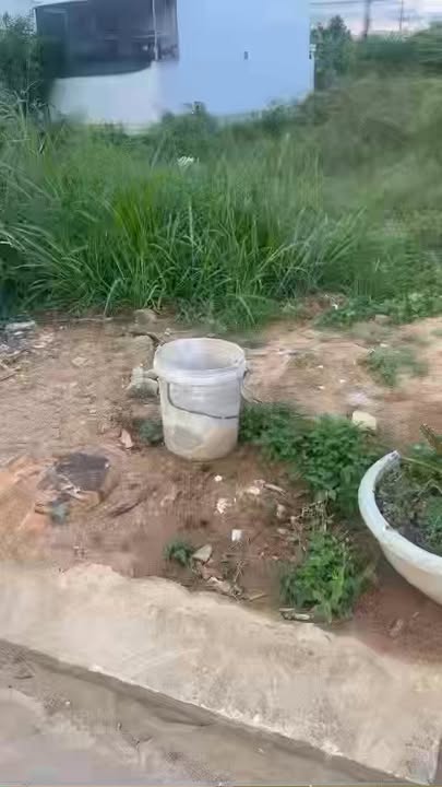 Đất nền Phù Mỹ 100m² 930 triệu - Sổ đỏ chính chủ, giá tốt