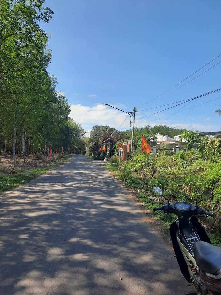 Đất nền An Bình Phú Giáo 540m² giá 1.55 tỷ - Sổ đỏ chính chủ