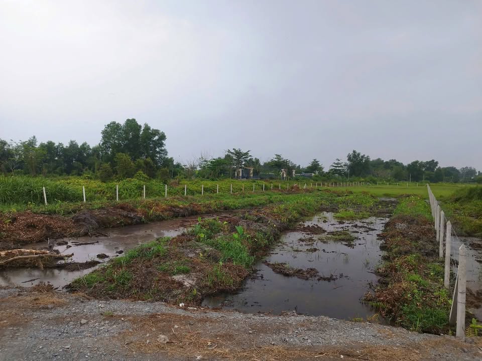 Đất nền Bình Mỹ Củ Chi 2700m² 8 tỷ - Sổ đỏ chính chủ