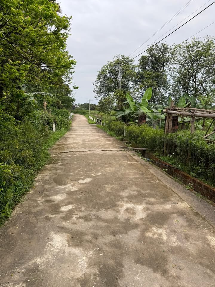 Đất nền Mỹ Sơn 700m² 600-699 triệu - Sổ đỏ chính chủ