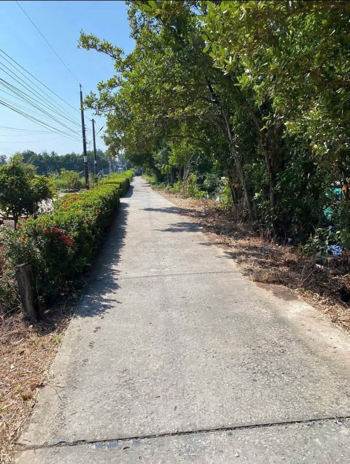 Đất thổ cư Cà Mau 275m² giá 3xx triệu – Sổ đỏ chính chủ