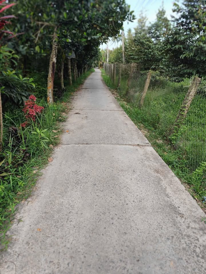 Đất vườn Tân Phú Châu Thành 1 công 650 triệu - Sổ đỏ chính chủ