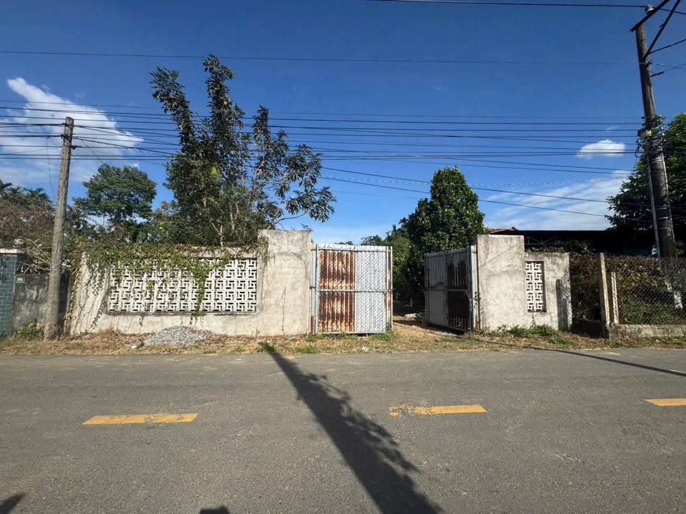 Đất Bình Hòa Thuận An 1000m² 6,6 tỷ - Tiềm năng tăng giá