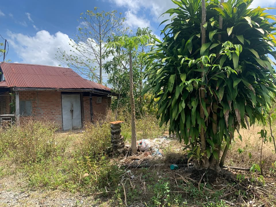 Đất vườn Tà Lài Đồng Nai 10.000m² 320 triệu/xào - Sổ đỏ chính chủ