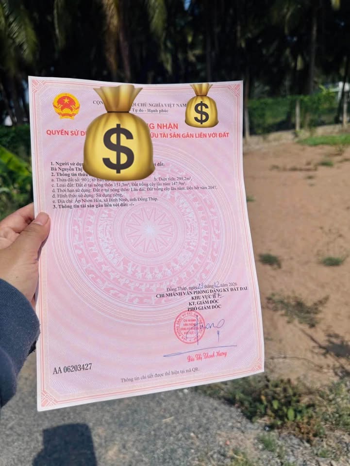 Đất nền Gò Công Tây 150m² 850 triệu - Đường to ô tô