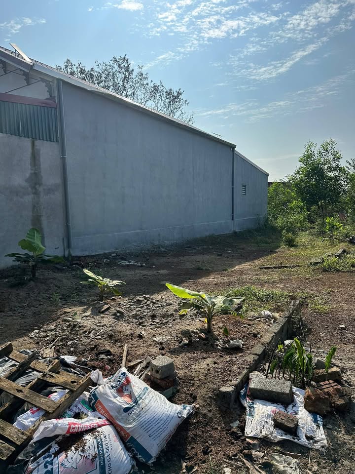 Đất Tu Vũ Phú Thọ 138m² 600-699tr - Sổ đỏ chính chủ