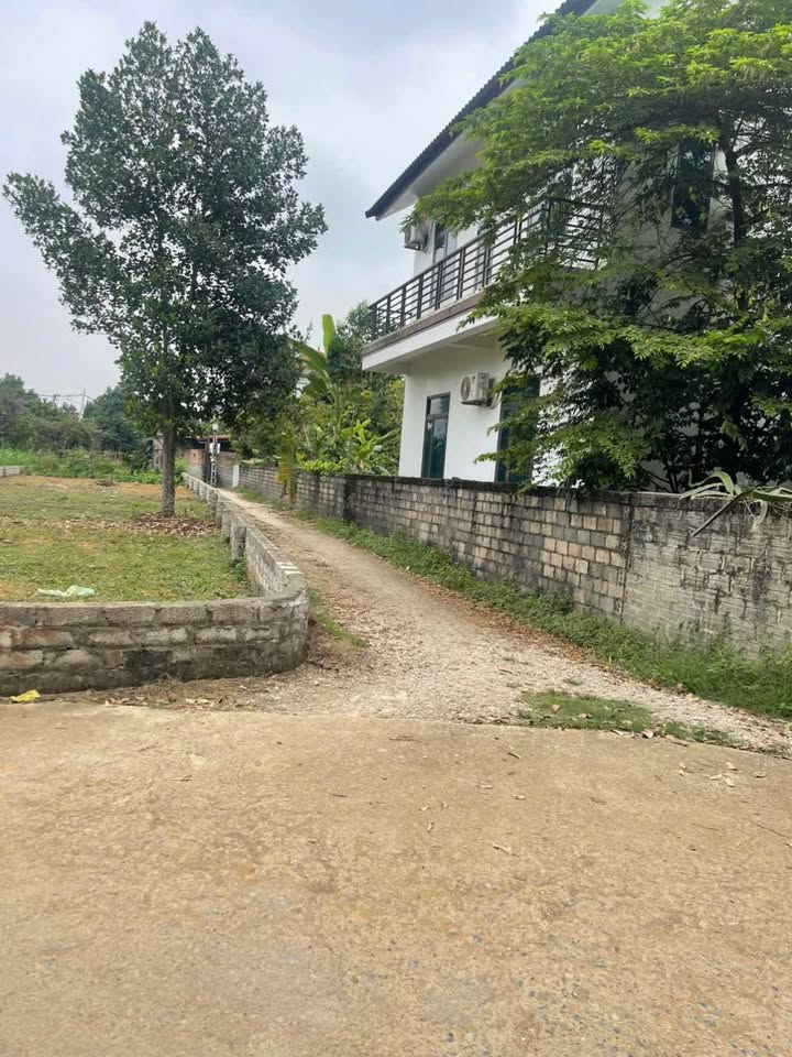 Đất nền Vân Hòa Ba Vì 360m² - Lô góc 3 mặt tiền, Sổ đỏ chính chủ!