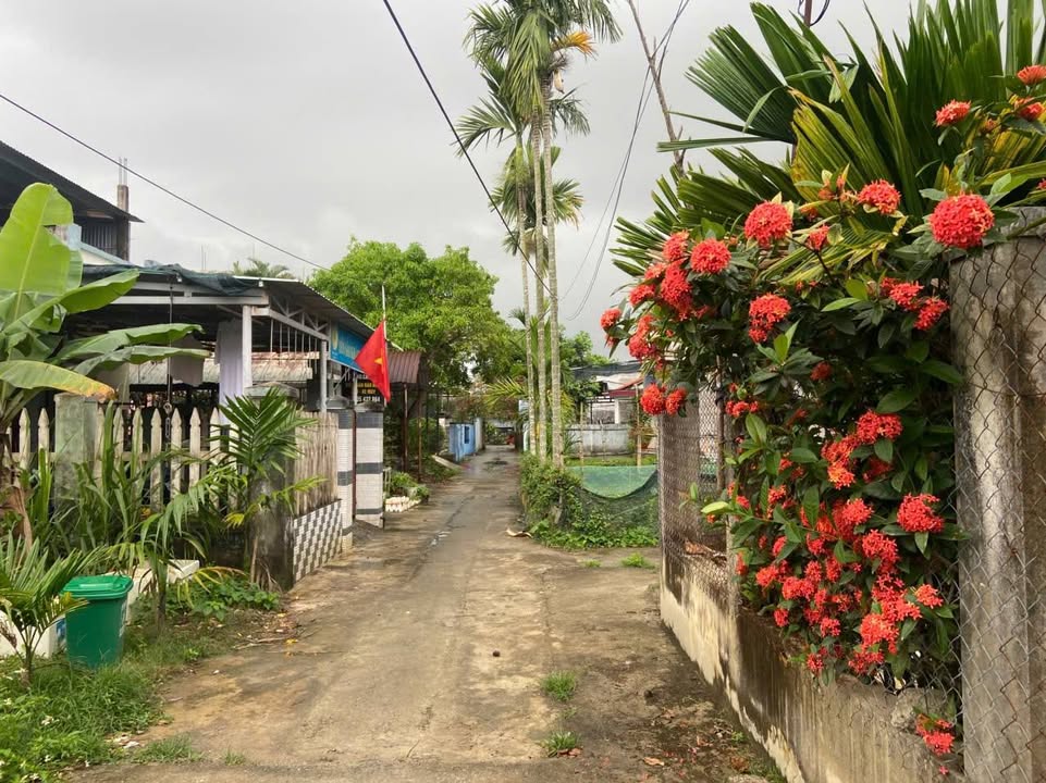 Đất nền Túy Loan Tây 1 Hòa Phong 180m² 1,3 tỷ - Sổ đỏ