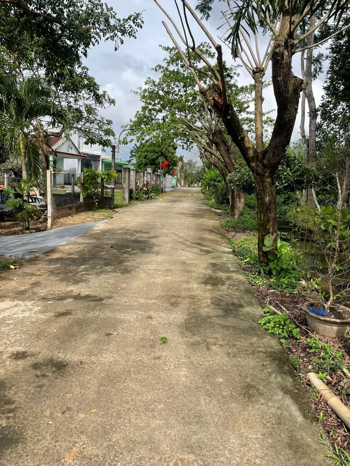 Đất vườn Thôn 5 Hòa Khương 1343m² giá 3 tỷ - Sổ đỏ chính chủ