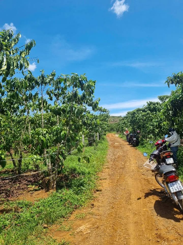 Đất nền Bảo Lộc 720m² 1.85 tỷ - Sổ đỏ chính chủ