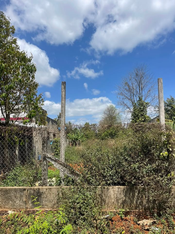 Đất nền Đường N2 Buôn Hồ 675m² 2.2 tỷ - Sổ đỏ chính chủ