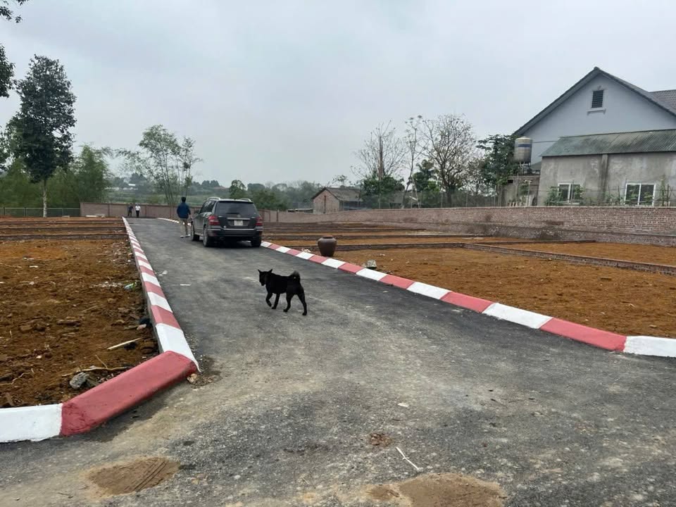 Đất nền Hòa Thạch, Quốc Oai 100m² giá 1 tỷ - Sổ đỏ chính chủ