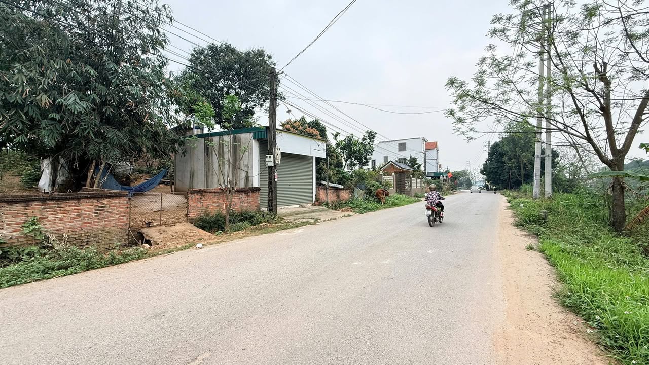 Đất Khu 7 Việt Trì 99m² 1-1.9 tỷ - Sổ đỏ chính chủ