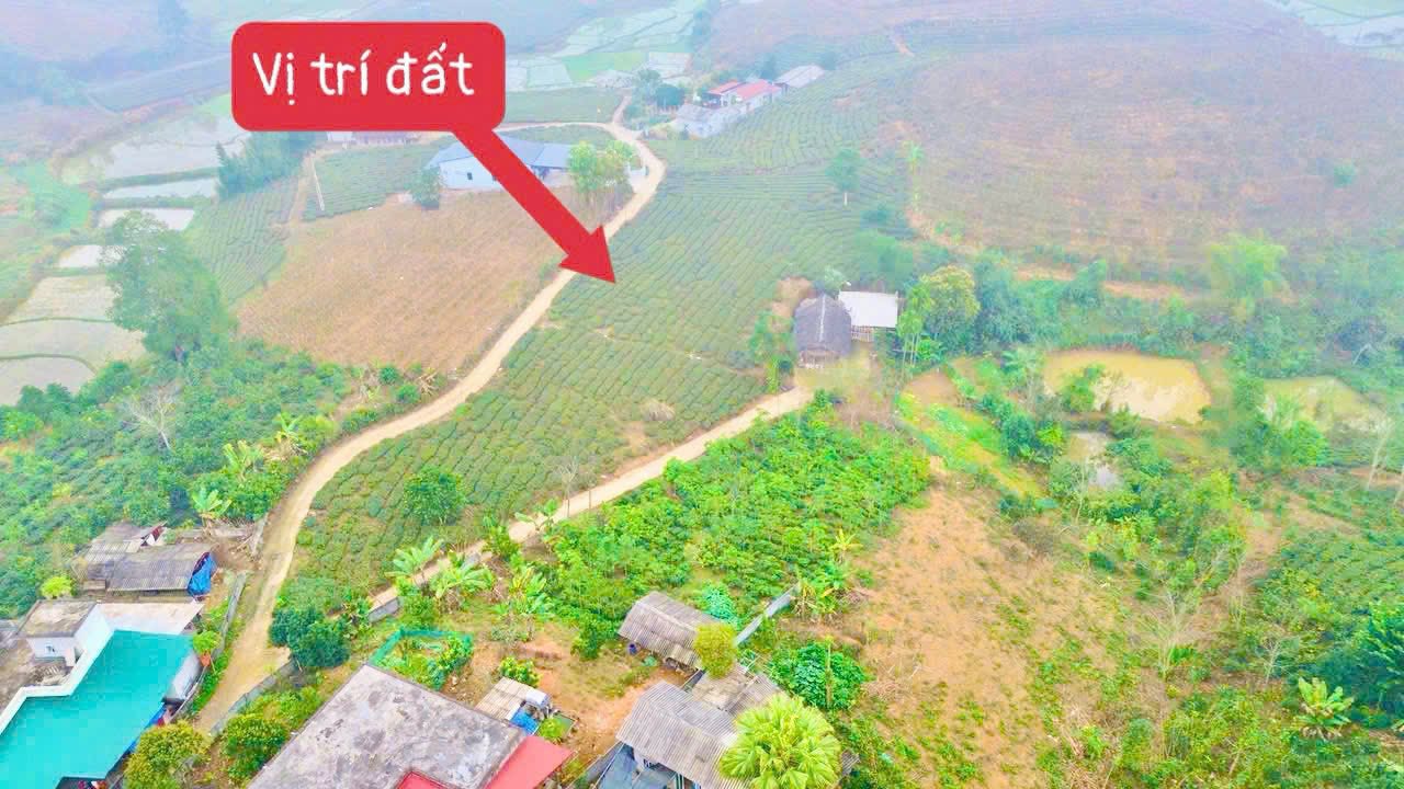 Đất nền Long Cốc Phú Thọ 424m2 300-399 triệu - Sổ đỏ chính chủ