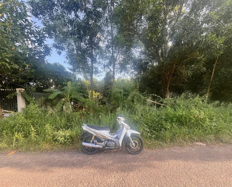 Đất nền Ấp Tân Hiệp 2 560m² 4.2 tỷ - Sổ đỏ chính chủ