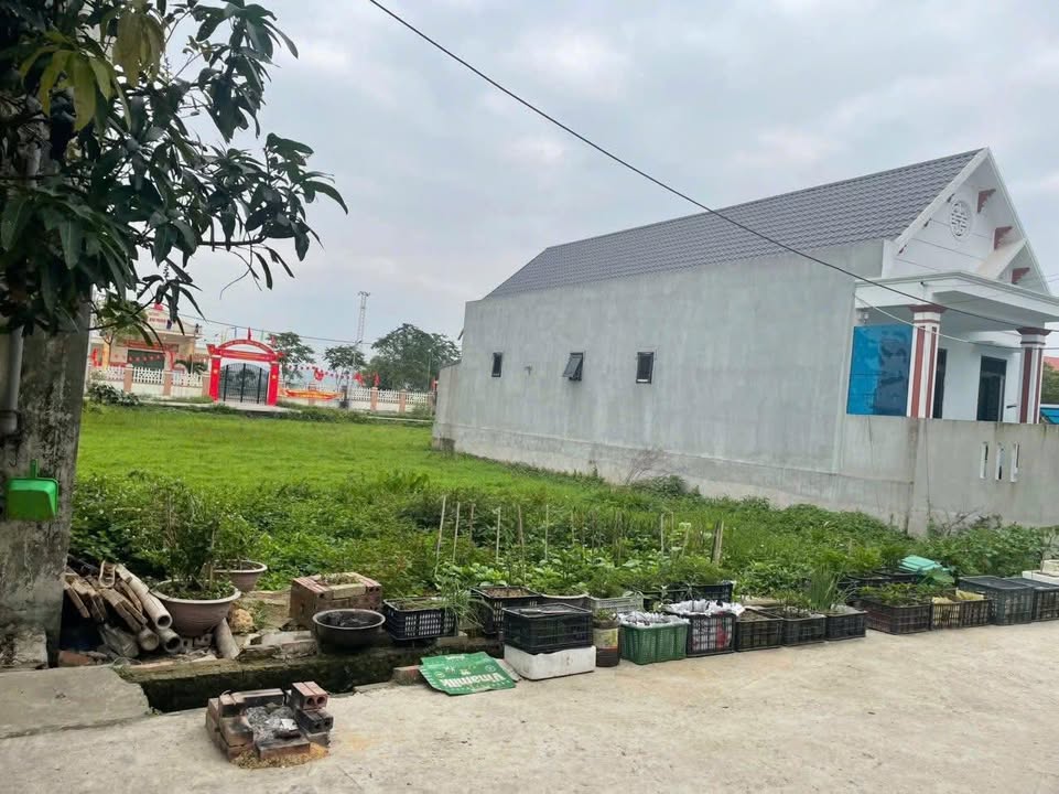 Đất nền Hậu Lộc 132m² giá thỏa thuận - Đầu tư sinh lời