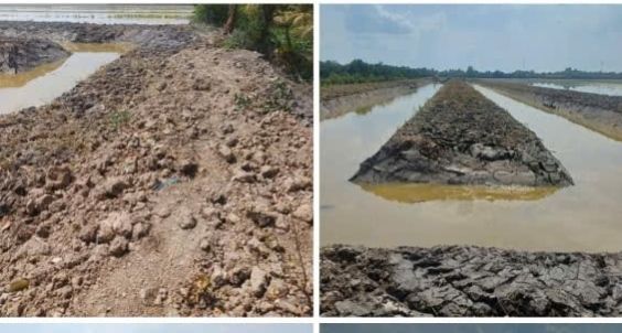 Đất nền Mỹ An Tháp Mười 4000m² 1 tỷ - Sổ đỏ chính chủ