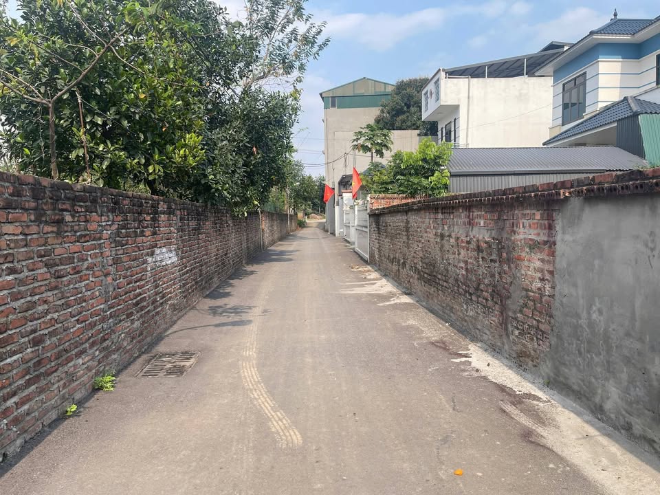 Đất Phường Tân Dân Việt Trì 100m² 1 tỷ - Tiềm năng tăng giá