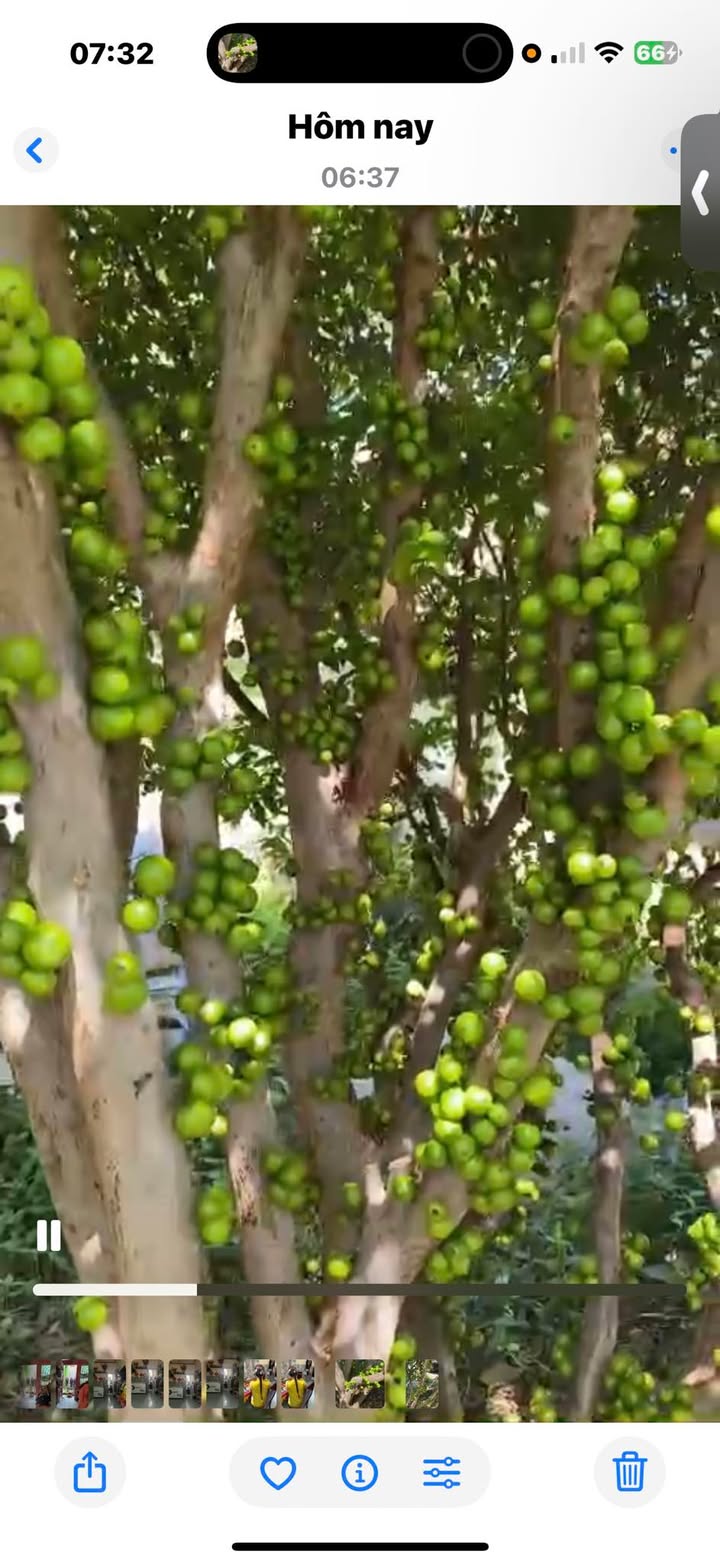 Nhà riêng Ninh Kiều 56m2 giá 1.8 tỷ - Sẵn sàng ở ngay