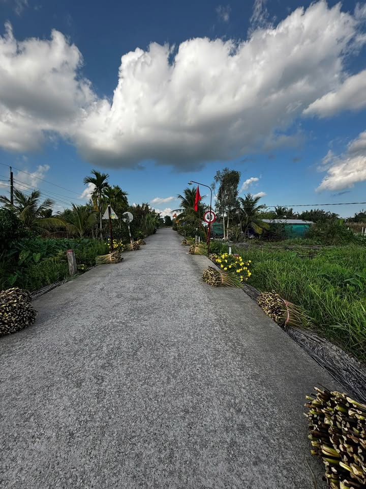 Đất VHH Bắc Gò Quao 3.500m² 900 triệu - Sổ đỏ chính chủ