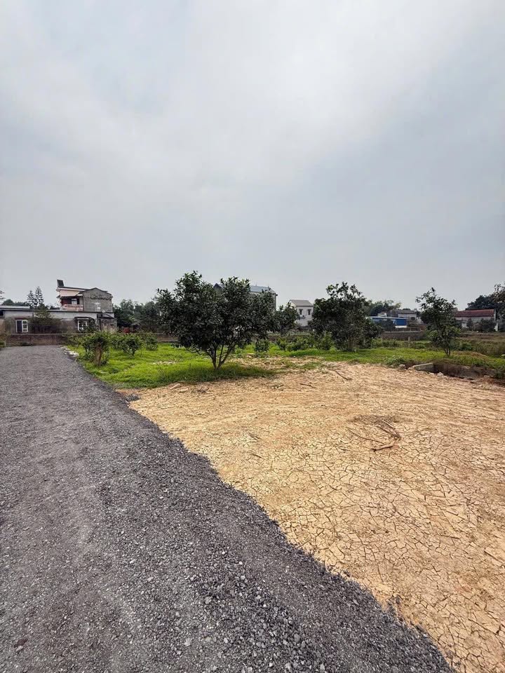 Đất nền Gia Sàng 150m2 900 triệu - Sổ đỏ chính chủ