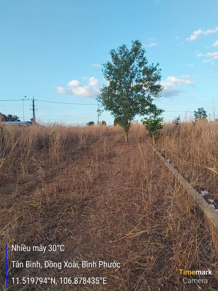 Đất nền Đường 32m Đồng Xoài 504m² giá 1.2 tỷ - Sổ đỏ chính chủ