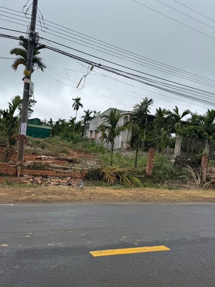 Đất nền Quốc lộ 29 660m² 2xx triệu/m² - Hạ tầng hoàn thiện