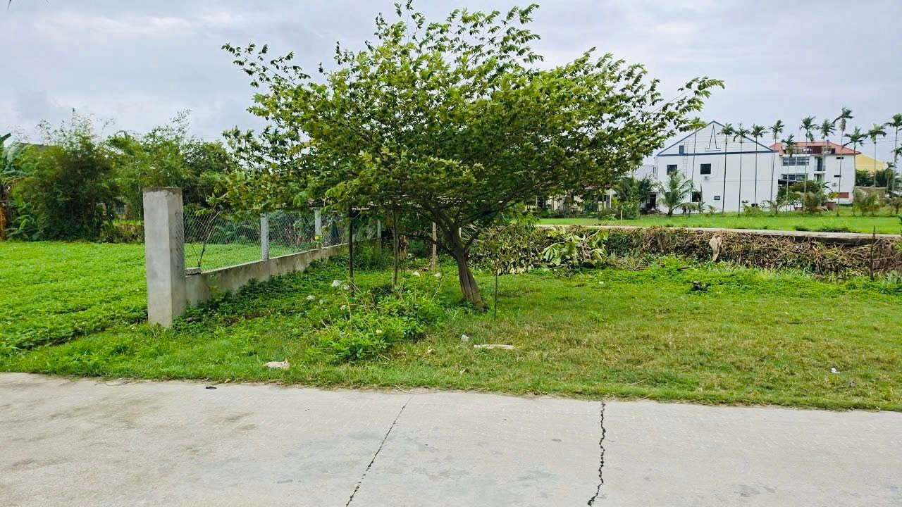 Đất nền Cẩm Châu Hội An 125m² 3 tỷ - Pháp lý rõ ràng