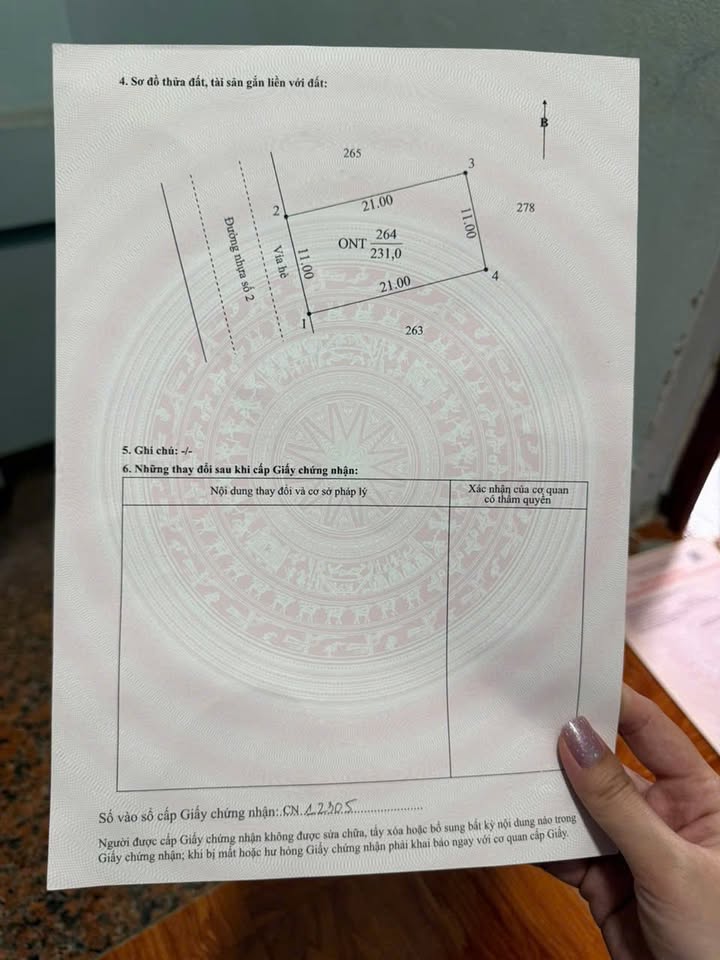 Đất nền Dầu Tiếng 231m² 1.6 tỷ - Sổ đỏ chính chủ